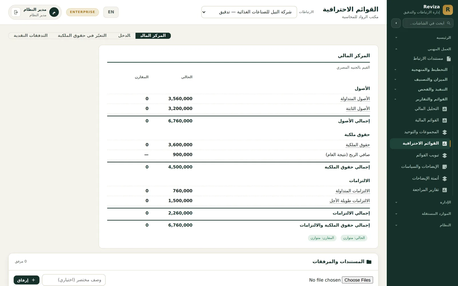 Reviza financial statements